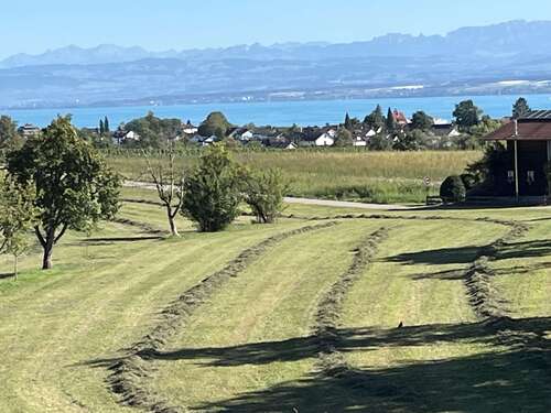 Foto - Haus zum Kaufen in Meersburg 1.590.000,00 € 300 m²