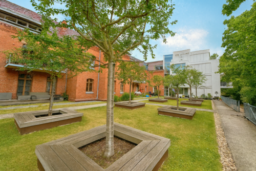 Foto - Wohnung zum Kaufen in Potsdam 397.350,00 € 66.22 m²