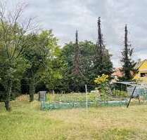 Grundstück zu verkaufen in Hillesheim 230.000,00 € 1202 m²