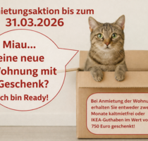 Wohnung zum Mieten in Halle (Saale) 430,00 € 59 m²