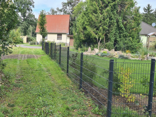 Foto - Grundstück zu verkaufen in Zechin 49.000,00 € 861 m²