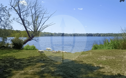 Foto - Grundstück zu verkaufen in Schwielowsee 490.000,00 € 500 m²