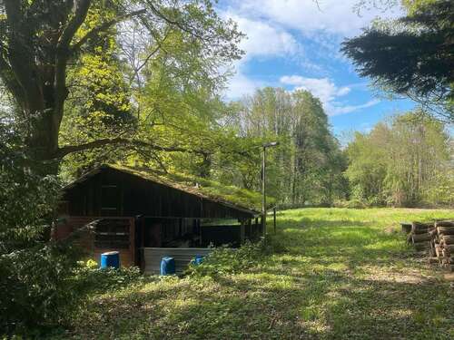 Foto - Grundstück zu verkaufen in Kuppenheim 59.000,00 € 7500 m²