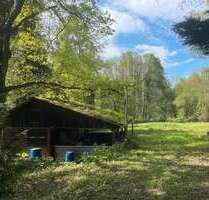 Grundstück zu verkaufen in Kuppenheim 59.000,00 € 7500 m²