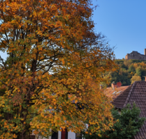 Wohnung zum Mieten in Weinheim 2.090,00 € 173 m²