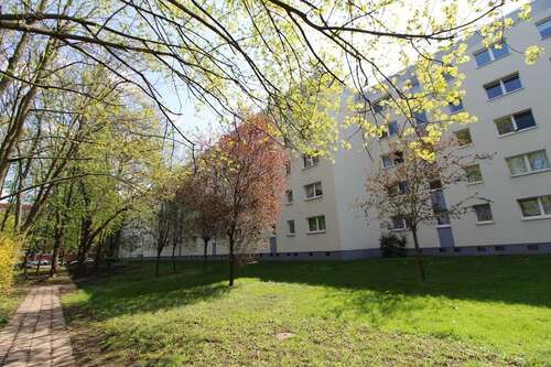 Foto - Wohnung zum Mieten in Halle (Saale) 260,00 € 41.8 m²