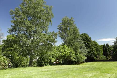 Foto - Grundstück zu verkaufen in Aachen 1.250.000,00 € 1202 m²