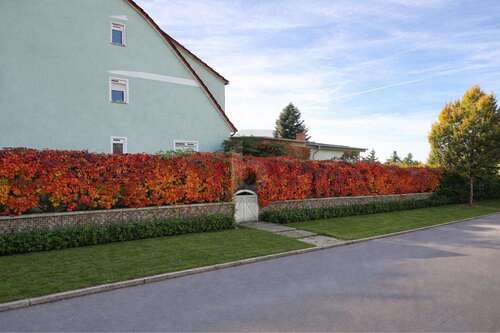 Foto - Haus zum Kaufen in Templin 249.000,00 € 146 m²