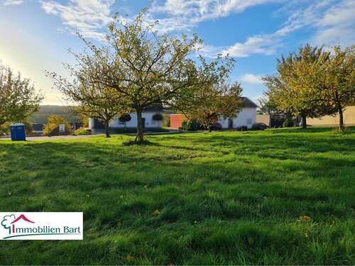 Foto - Grundstück zu verkaufen in Kastel-Staadt 179.800,00 € 1000 m²