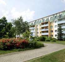 Wohnung zum Mieten in Lutherstadt Wittenberg 288,00 € 56.65 m²