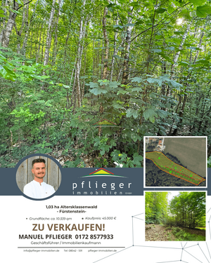 Foto - Grundstück in Fürstenstein 45.000,00 € 10339 m²