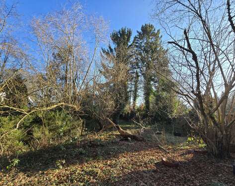 Foto - Grundstück zu verkaufen in Hamburg 449.000,00 € 699 m²