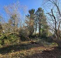 Grundstück zu verkaufen in Hamburg 449.000,00 € 699 m²