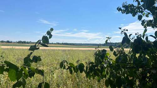 Foto - Haus zum Kaufen in Gauting 899.500,00 € 115 m²