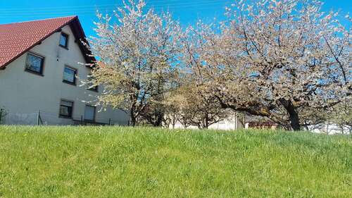 Foto - Grundstück zu verkaufen in Schömberg 179.000,00 € 827 m²