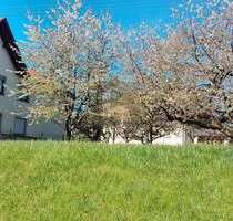 Grundstück zu verkaufen in Schömberg 179.000,00 € 827 m²