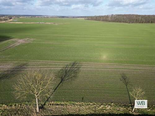 Foto - Grundstück zu verkaufen in Salzwedel 99.000,00 € 3600 m²