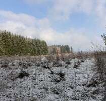 Grundstück in Schnaitsee 80.000,00 € 6600 m²