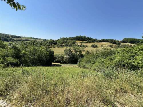 Foto - Grundstück zu verkaufen in Niederstetten 37.000,00 € 740 m²