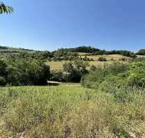 Grundstück zu verkaufen in Niederstetten 37.000,00 € 740 m²