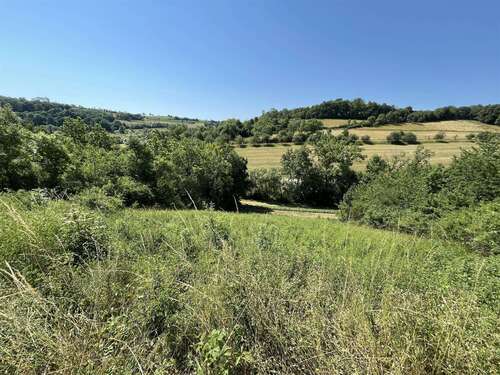 Foto - Grundstück zu verkaufen in Niederstetten 37.000,00 € 740 m²