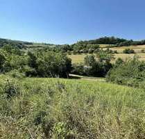 Grundstück zu verkaufen in Niederstetten 37.000,00 € 740 m²