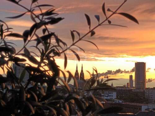 Foto - Wohnung zum Kaufen in Köln 365.000,00 € 65 m²