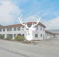 Halle in Wehingen 2.100.000,00 € 3133 m²