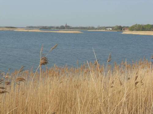 Foto - Wohnung zum Mieten in Greifswald 380,00 € 57.53 m²