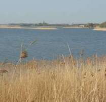 Wohnung zum Mieten in Greifswald 380,00 € 57.53 m²