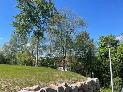 Foto - Grundstück zu verkaufen in Zwickau 99.000,00 € 541 m²