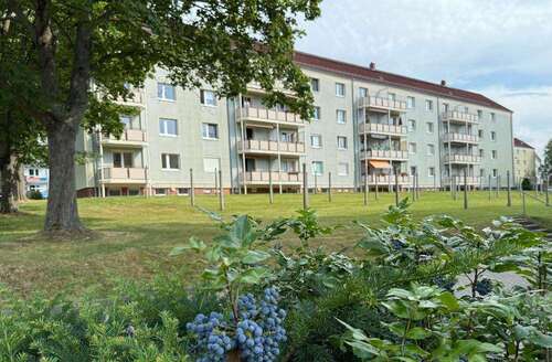 Foto - Wohnung zum Mieten in Wilkau-Haßlau 420,00 € 61.4 m²