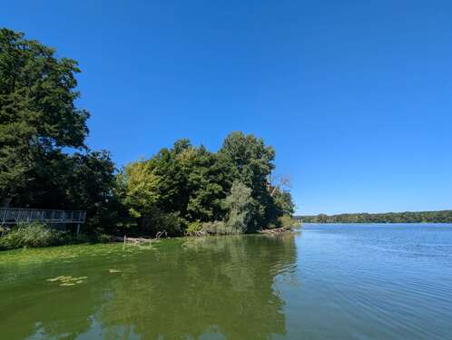 Foto - Haus zum Kaufen in Potsdam 999.980,00 € 153 m²