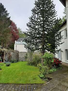 Foto - Wohnung zum Mieten in Zeuthen 725,00 € 50 m²