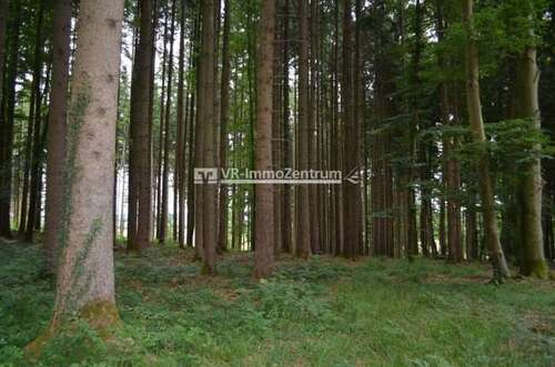 Foto - Spezialgewerbe in Eresing 94.000,00 € 11001 m²