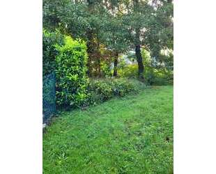 Wohnung zum Mieten in Sinzheim 1.630,00 € 163.15 m²
