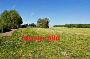 Foto - Grundstück zu verkaufen in Ortenberg 305.000,00 € 1144 m²