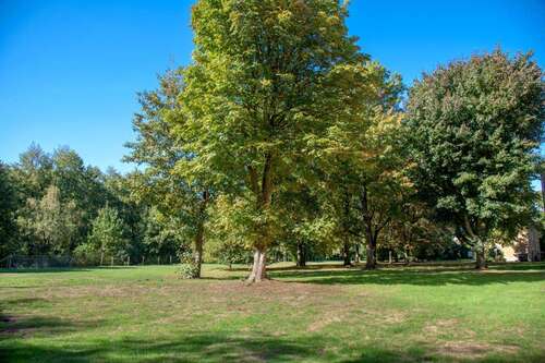 Foto - Wohnung zum Mieten in Marl 529,00 € 66.74 m²