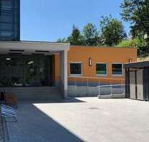 Wohnung zum Mieten in Gornsdorf 290,00 € 29 m²