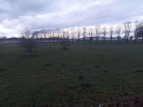 Foto - Grundstück in Zeven 950.000,00 € 23000 m²