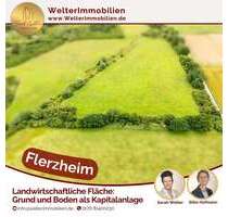 Grundstück zu verkaufen in Swisttal 39.000,00 € 16994 m²