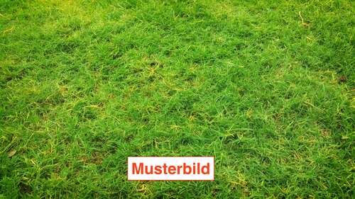 Foto - Grundstück zu verkaufen in Bad Nauheim 299.000,00 € 709 m²