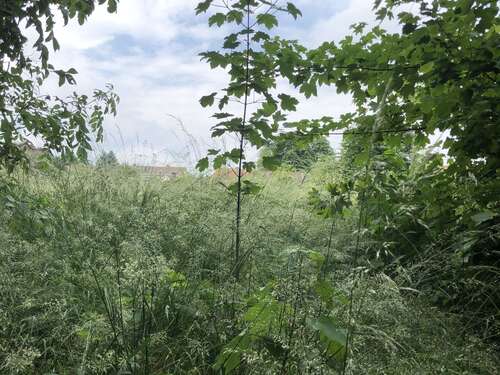 Foto - Grundstück zu verkaufen in Büddenstedt-Offleben 57.000,00 € 735 m²