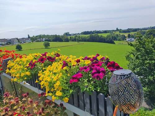 Foto - Wohnung zum Kaufen in Wuppertal 349.000,00 € 130 m²