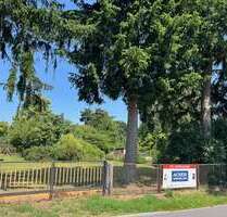 Grundstück zu verkaufen in Zeesen 350.000,00 € 1240 m²