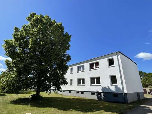 Foto - Wohnung zum Mieten in Groß Pankow Lindenberg 400,00 € 80 m²