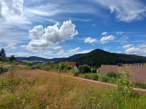 Foto - Wohnung zum Kaufen in Baiersbronn 89.000,00 € 62 m²