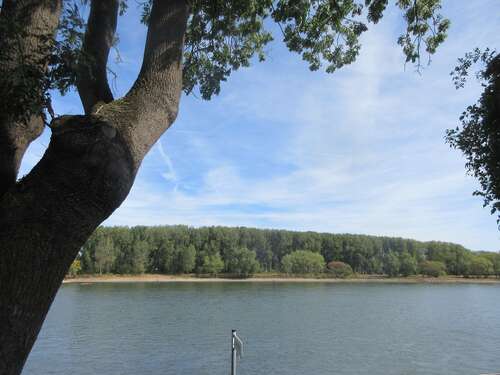 Foto - Wohnung zum Mieten in Bonn 690,00 € 60 m²