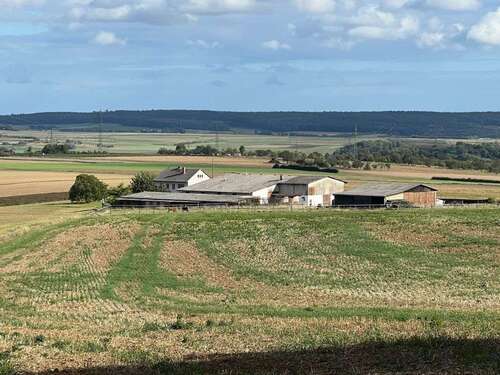 Foto - Spezialgewerbe in Münzenberg - Münzenberg 785.000,00 € 162 m²