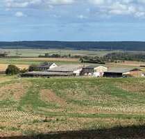 Spezialgewerbe in Münzenberg - Münzenberg 785.000,00 € 162 m²